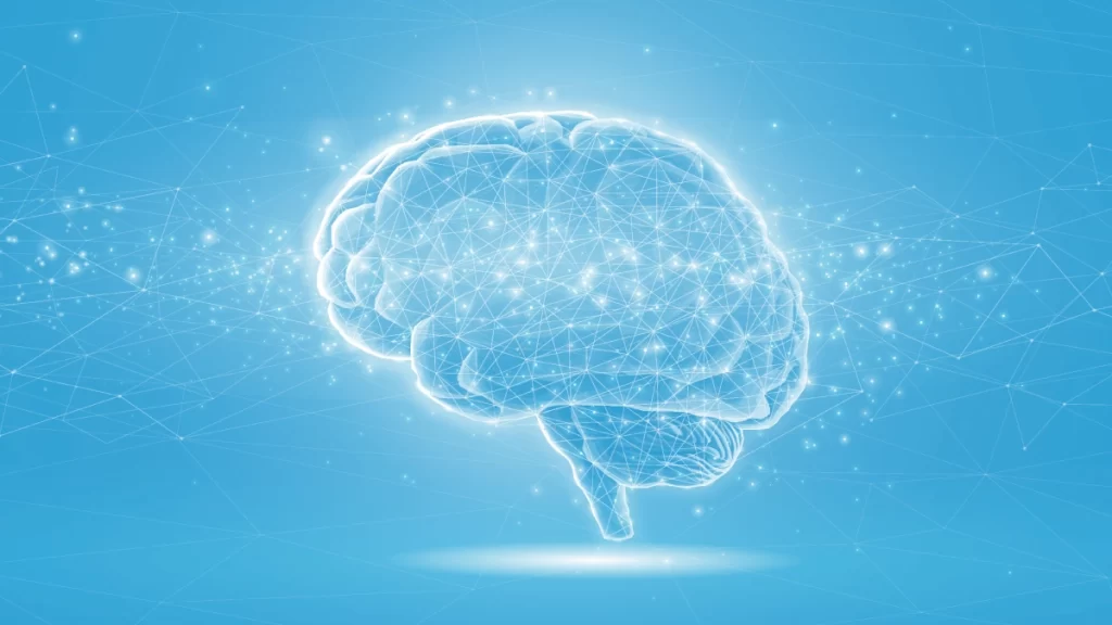 英語脳のイメージ