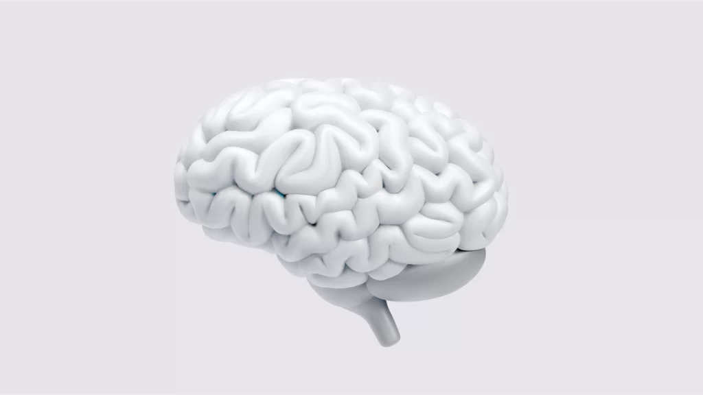 英語脳のイメージ